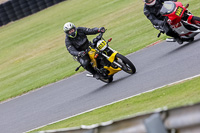 Yellow Bikes